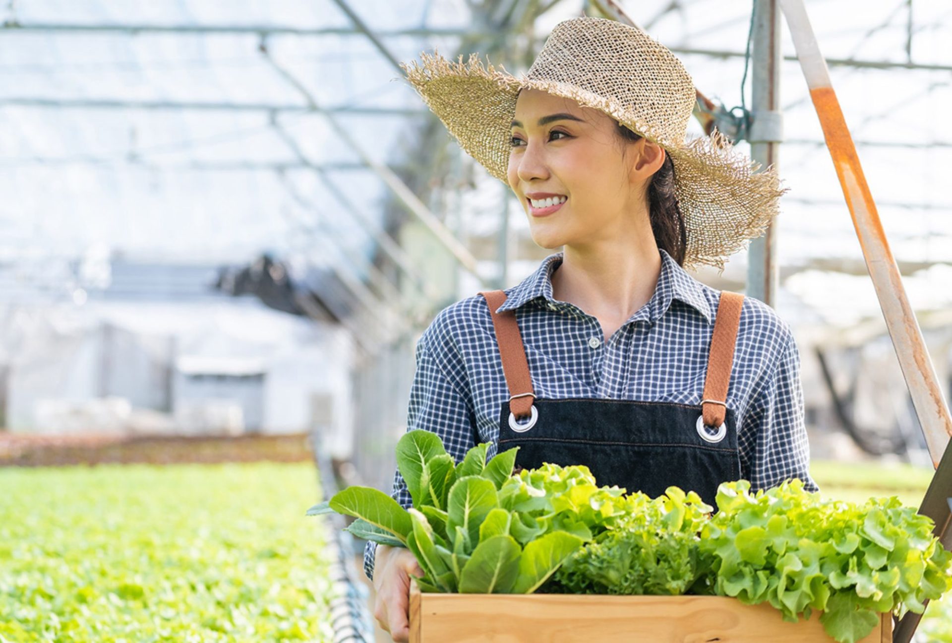 保存技術により
持続可能な地球環境維持へ